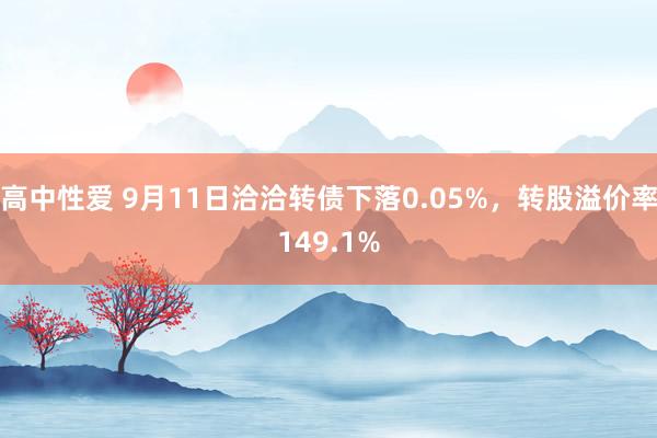 高中性爱 9月11日洽洽转债下落0.05%，转股溢价率149.1%