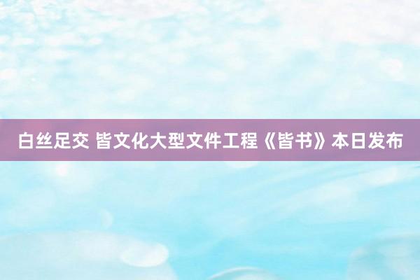 白丝足交 皆文化大型文件工程《皆书》本日发布