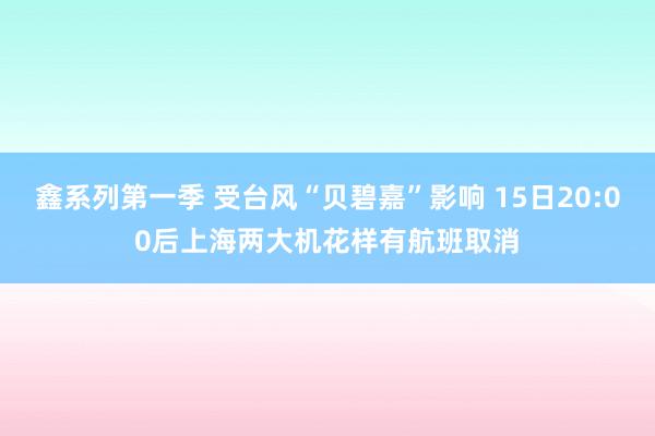 鑫系列第一季 受台风“贝碧嘉”影响 15日20:00后上海两大机花样有航班取消