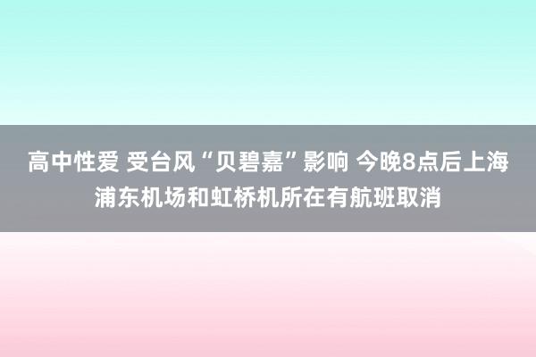 高中性爱 受台风“贝碧嘉”影响 今晚8点后上海浦东机场和虹桥机所在有航班取消