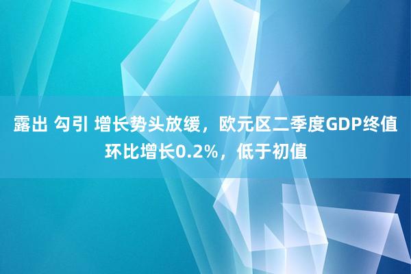 露出 勾引 增长势头放缓，欧元区二季度GDP终值环比增长0.2%，低于初值