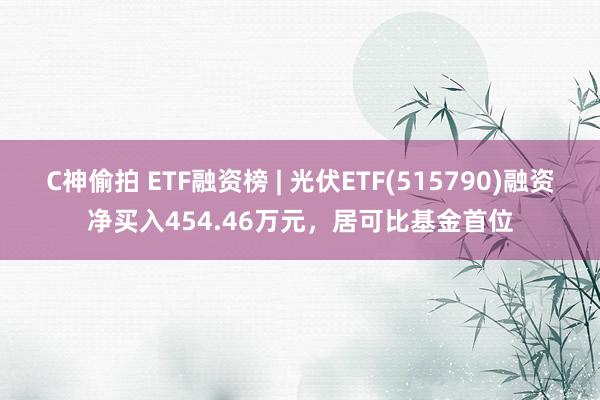 C神偷拍 ETF融资榜 | 光伏ETF(515790)融资净买入454.46万元