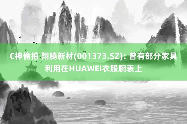 C神偷拍 翔腾新材(001373.SZ): 曾有部分家具利用在HUAWEI衣服腕表上