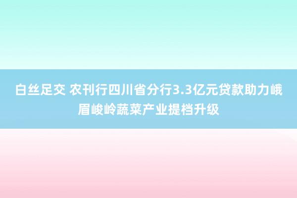 白丝足交 农刊行四川省分行3.3亿元贷款助力峨眉峻岭蔬菜产业提档升级