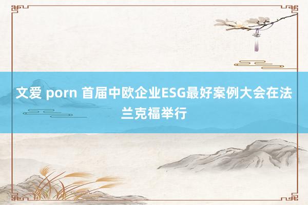 文爱 porn 首届中欧企业ESG最好案例大会在法兰克福举行