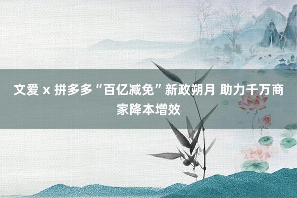 文爱 x 拼多多“百亿减免”新政朔月 助力千万商家降本增效