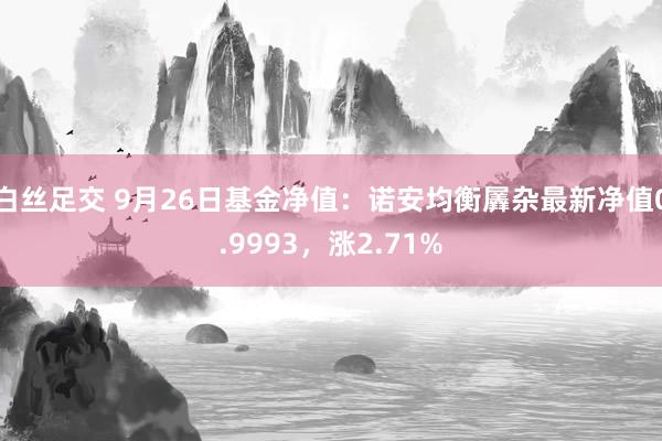 白丝足交 9月26日基金净值：诺安均衡羼杂最新净值0.9993，涨2.71%