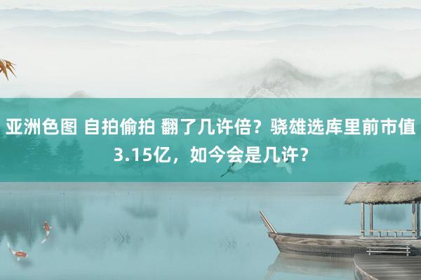 亚洲色图 自拍偷拍 翻了几许倍？骁雄选库里前市值3.15亿，如今会是几许？