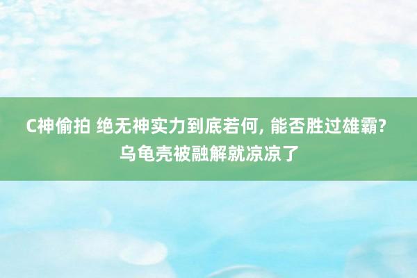 C神偷拍 绝无神实力到底若何， 能否胜过雄霸? 乌龟壳被融解就凉凉了