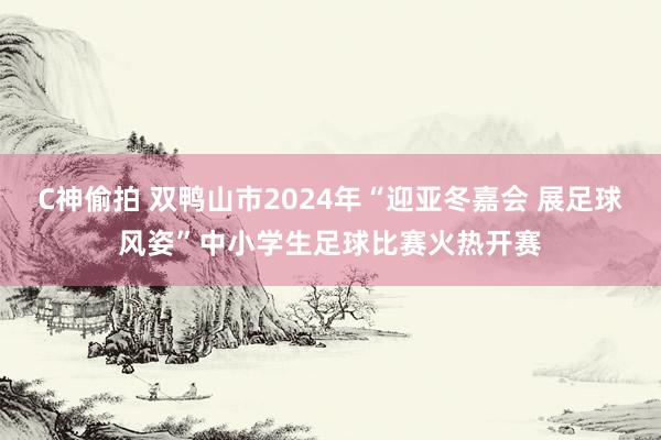 C神偷拍 双鸭山市2024年“迎亚冬嘉会 展足球风姿”中小学生足球比赛火热开赛