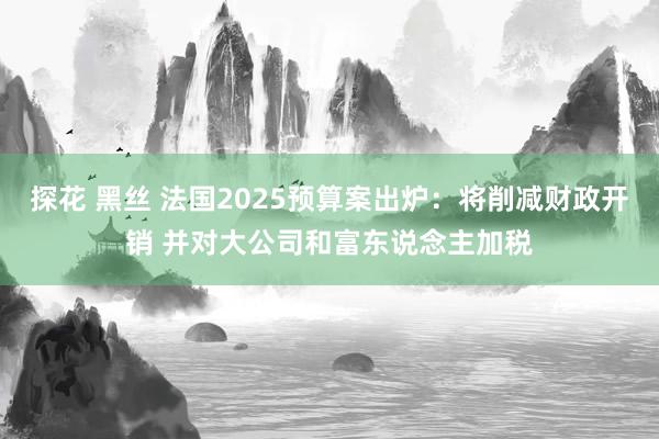 探花 黑丝 法国2025预算案出炉：将削减财政开销 并对大公司和富东说念主加税