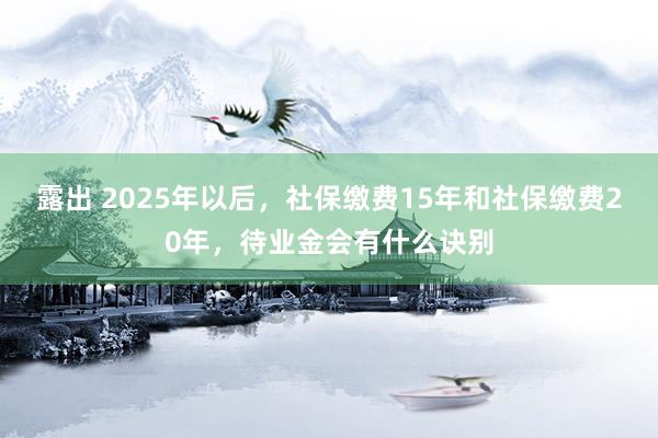 露出 2025年以后，社保缴费15年和社保缴费20年，待业金会有什么诀别