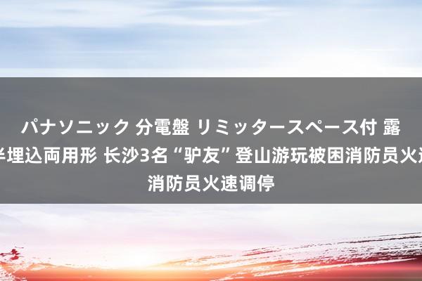 パナソニック 分電盤 リミッタースペース付 露出・半埋込両用形 长沙3名“驴友”登山游玩被困消防员火速调停