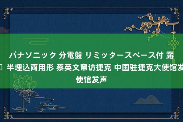 パナソニック 分電盤 リミッタースペース付 露出・半埋込両用形 蔡英文窜访捷克 中国驻捷克大使馆发声