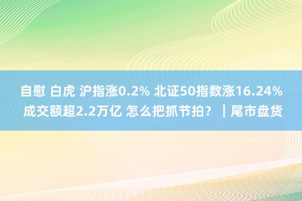 自慰 白虎 沪指涨0.2% 北证50指数涨16.24% 成交额超2.2万亿 怎么把抓节拍？｜尾市盘货