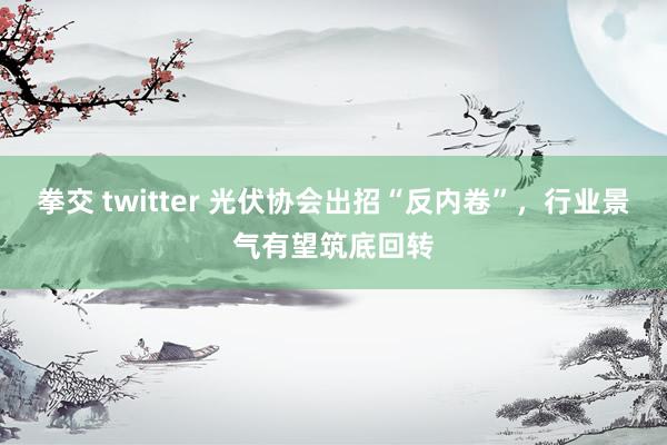 拳交 twitter 光伏协会出招“反内卷”，行业景气有望筑底回转