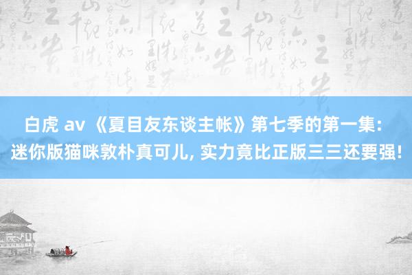 白虎 av 《夏目友东谈主帐》第七季的第一集: 迷你版猫咪敦朴真可儿， 实力竟比正版三三还要强!