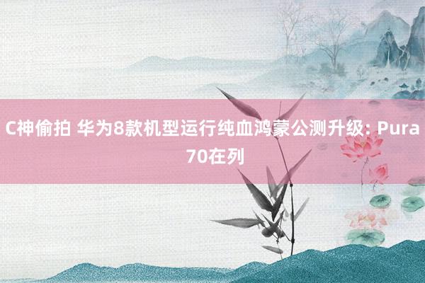 C神偷拍 华为8款机型运行纯血鸿蒙公测升级: Pura 70在列