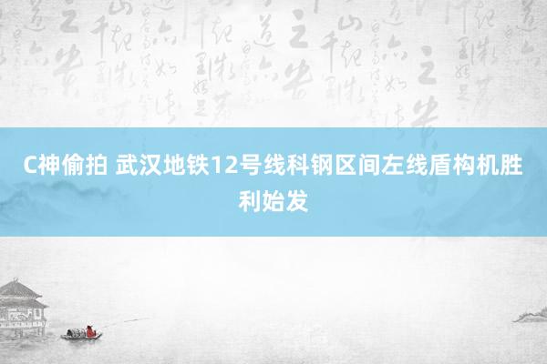 C神偷拍 武汉地铁12号线科钢区间左线盾构机胜利始发