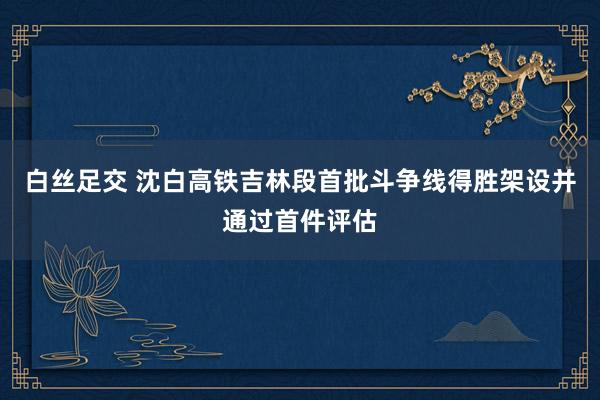 白丝足交 沈白高铁吉林段首批斗争线得胜架设并通过首件评估