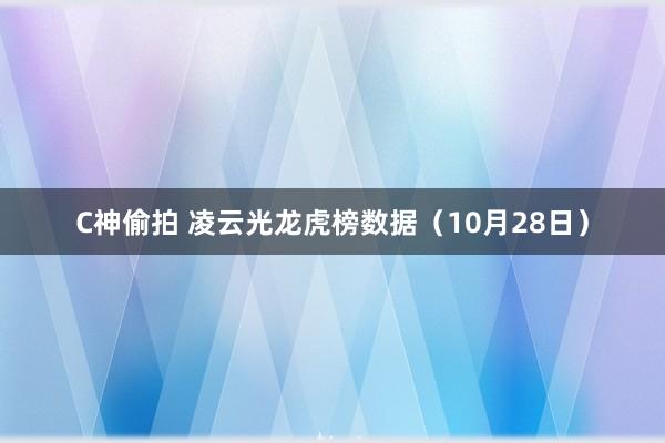 C神偷拍 凌云光龙虎榜数据（10月28日）