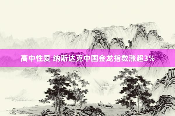 高中性爱 纳斯达克中国金龙指数涨超3%