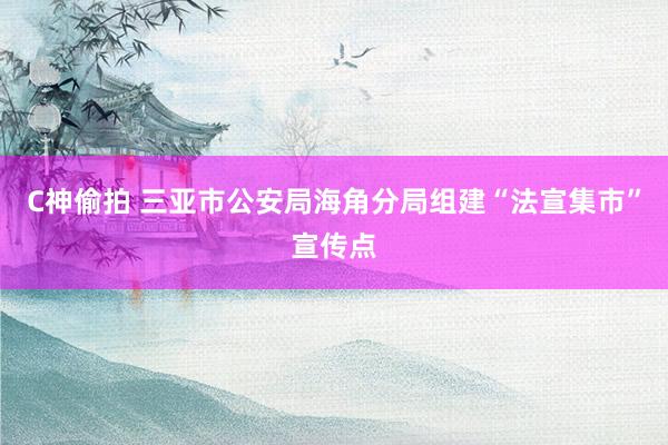 C神偷拍 三亚市公安局海角分局组建“法宣集市”宣传点