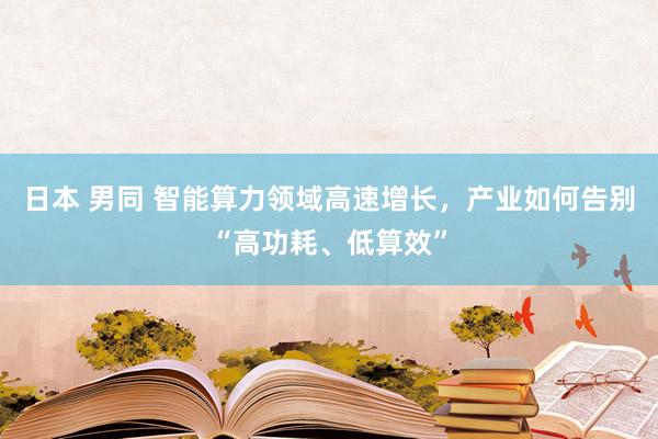 日本 男同 智能算力领域高速增长，产业如何告别“高功耗、低算效”