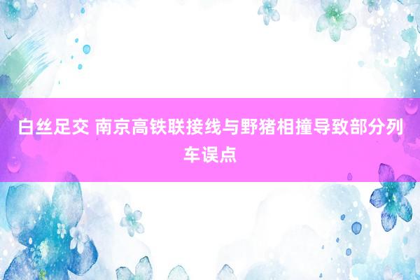 白丝足交 南京高铁联接线与野猪相撞导致部分列车误点