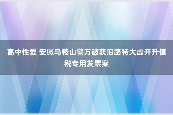 高中性爱 安徽马鞍山警方破获沿路特大虚开升值税专用发票案