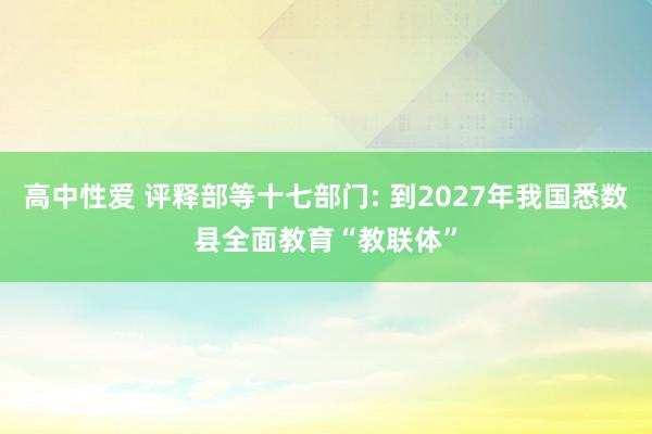 高中性爱 评释部等十七部门: 到2027年我国悉数县全面教育“教联体”