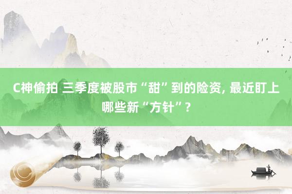 C神偷拍 三季度被股市“甜”到的险资， 最近盯上哪些新“方针”?