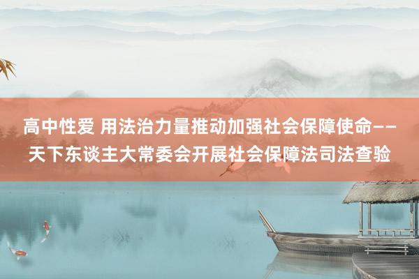 高中性爱 用法治力量推动加强社会保障使命——天下东谈主大常委会开展社会保障法司法查验