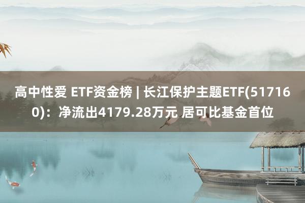 高中性爱 ETF资金榜 | 长江保护主题ETF(517160)：净流出4179.