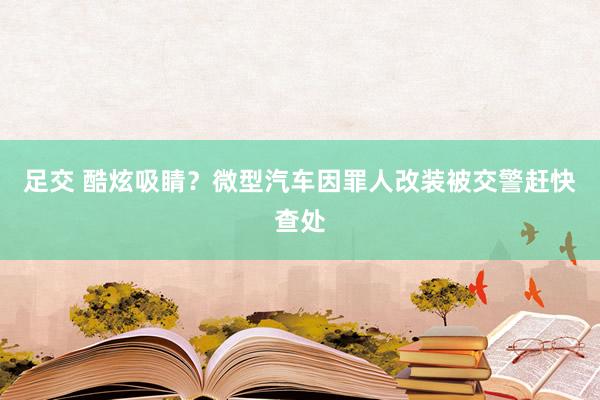 足交 酷炫吸睛？微型汽车因罪人改装被交警赶快查处