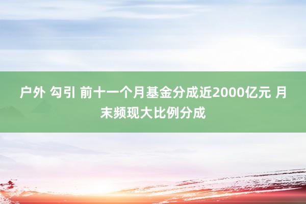 户外 勾引 前十一个月基金分成近2000亿元 月末频现大比例分成