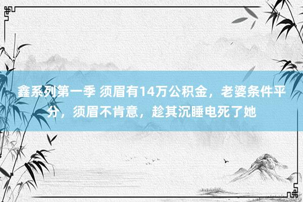 鑫系列第一季 须眉有14万公积金，老婆条件平分，须眉不肯意，趁其沉睡电死了她