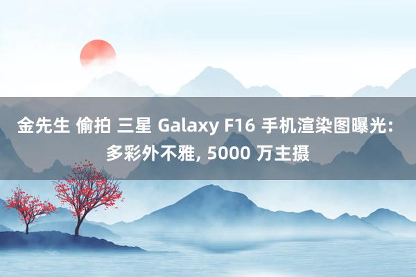 金先生 偷拍 三星 Galaxy F16 手机渲染图曝光: 多彩外不雅, 500