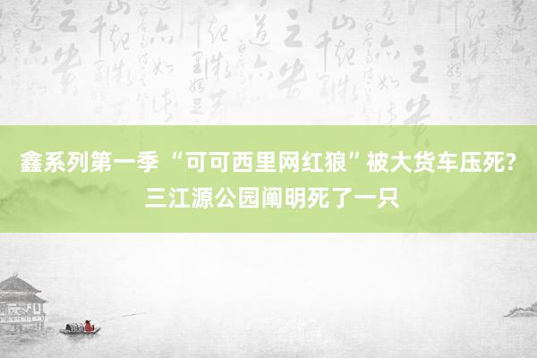 鑫系列第一季 “可可西里网红狼”被大货车压死? 三江源公园阐明死了一只