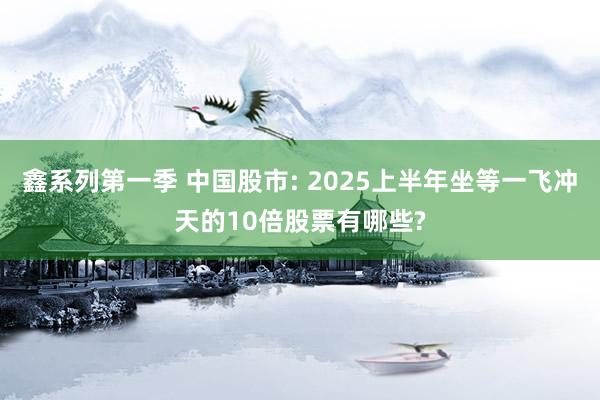 鑫系列第一季 中国股市: 2025上半年坐等一飞冲天的10倍股票有哪些?