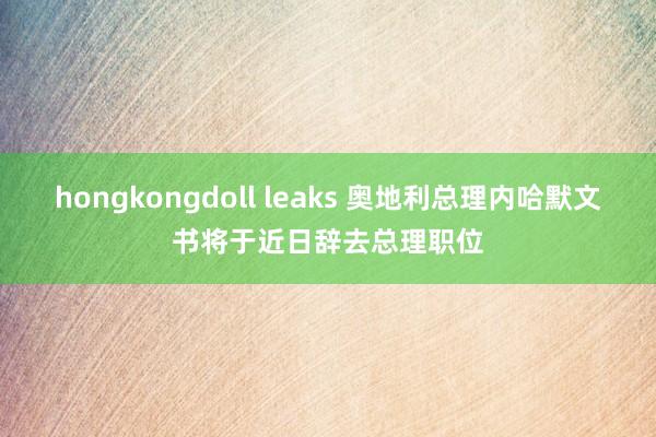 hongkongdoll leaks 奥地利总理内哈默文书将于近日辞去总理职位