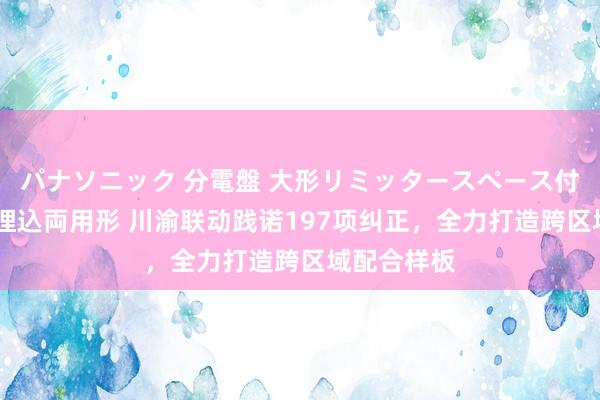 パナソニック 分電盤 大形リミッタースペース付 露出・半埋込両用形 川渝联动践诺197项纠正，全力打造跨区域配合样板